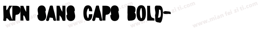 KPN Sans Caps Bold字体转换